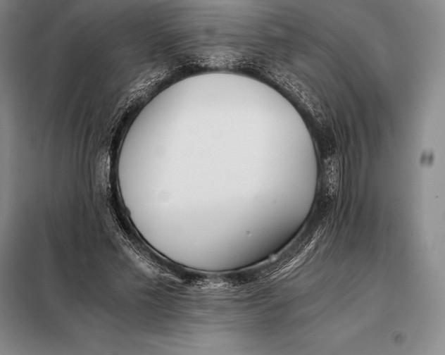 X0000098140589200805011345