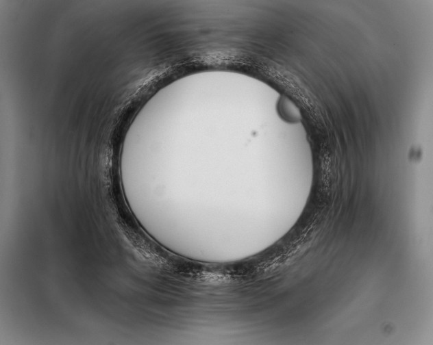 X0000098140592200805011345