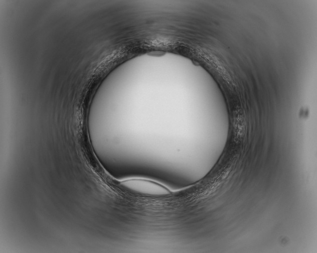 X0000098140593200805011345