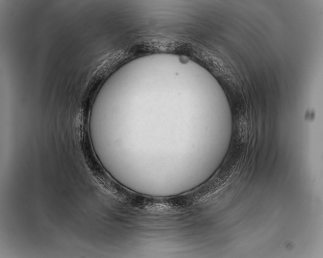 X0000098140594200805011345