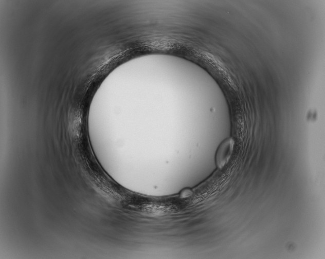 X0000098140596200805011345