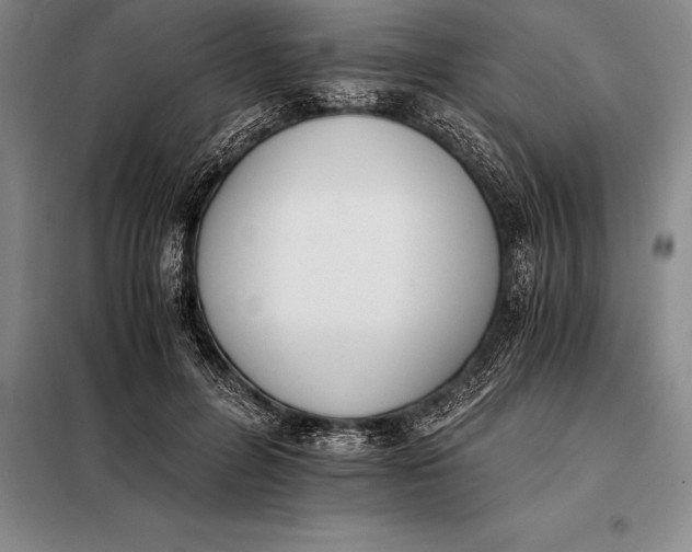 X0000098140600200805011345