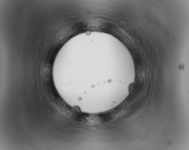 X0000098140603200805011345
