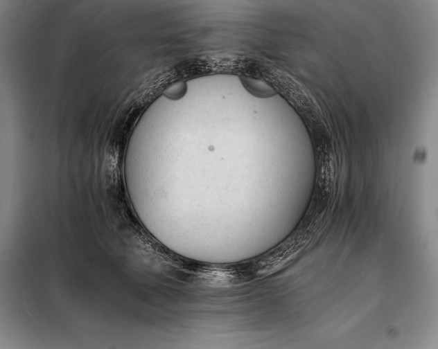 X0000098140610200805011345
