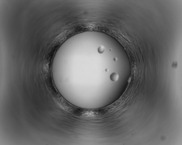 X0000098140611200805011345