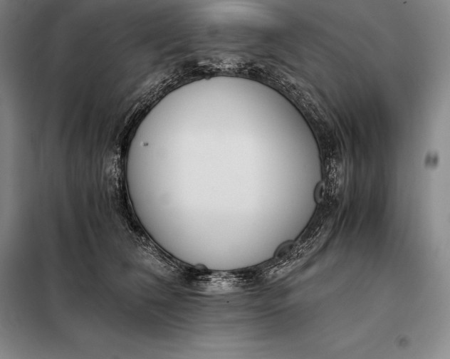 X0000098140612200805011345