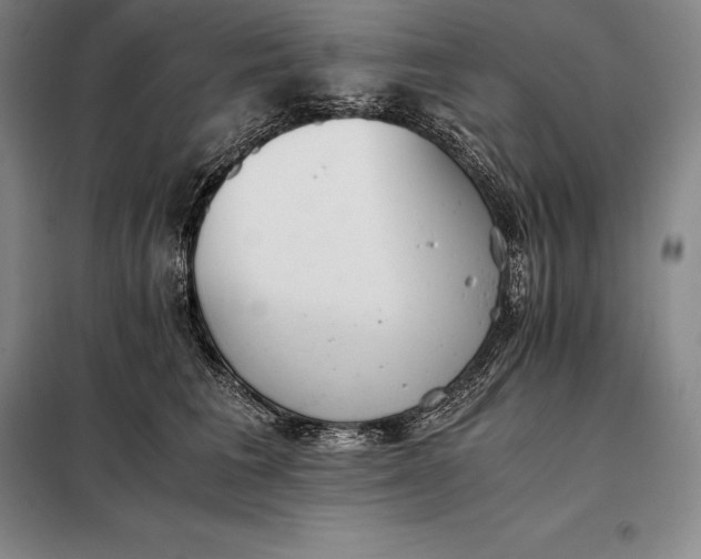 X0000098140613200805011345