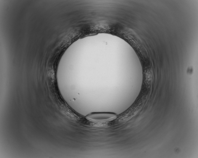 X0000098140617200805011345