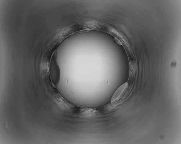 X0000098140621200805011345