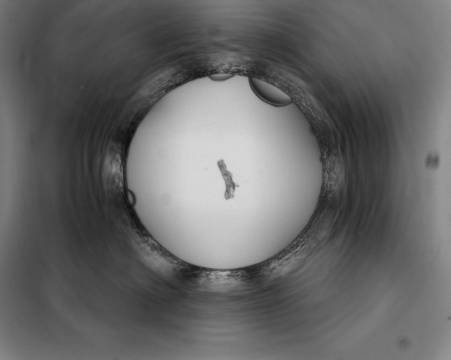 X0000098140622200805011345