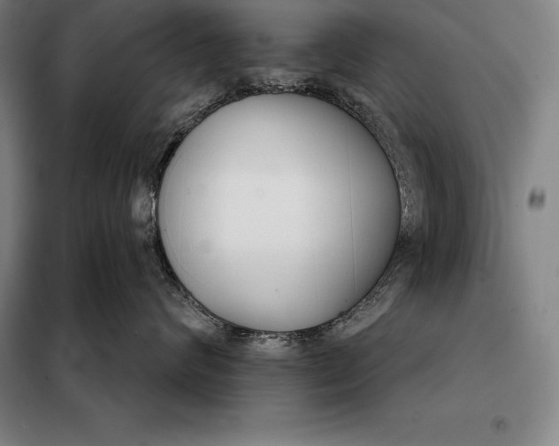 X0000098140624200805011345