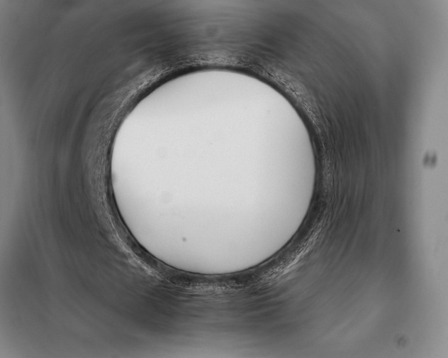 X0000098140625200805011344