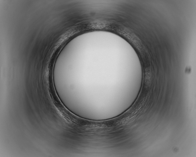 X0000098140626200805011344