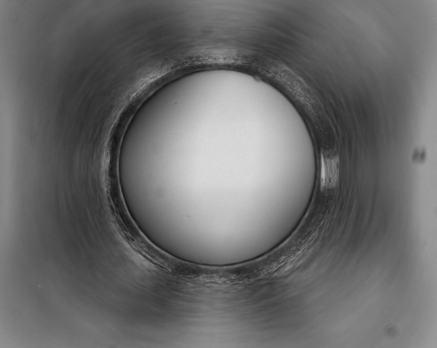 X0000098140627200805011344
