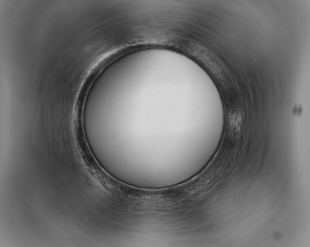 X0000098140628200805011344