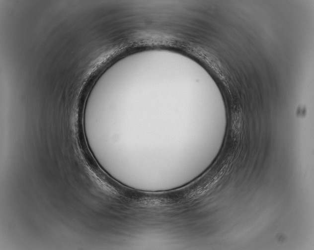 X0000098140629200805011344