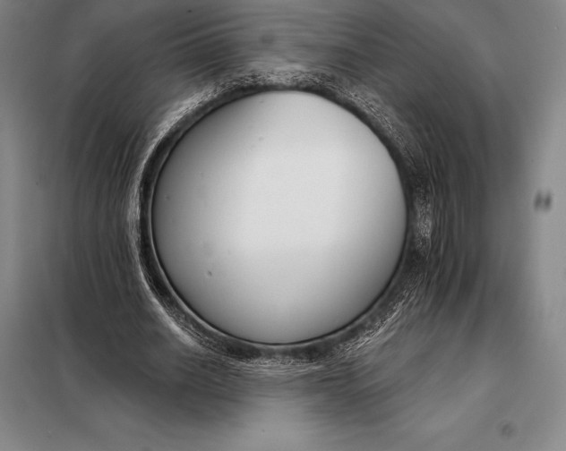 X0000098140630200805011344