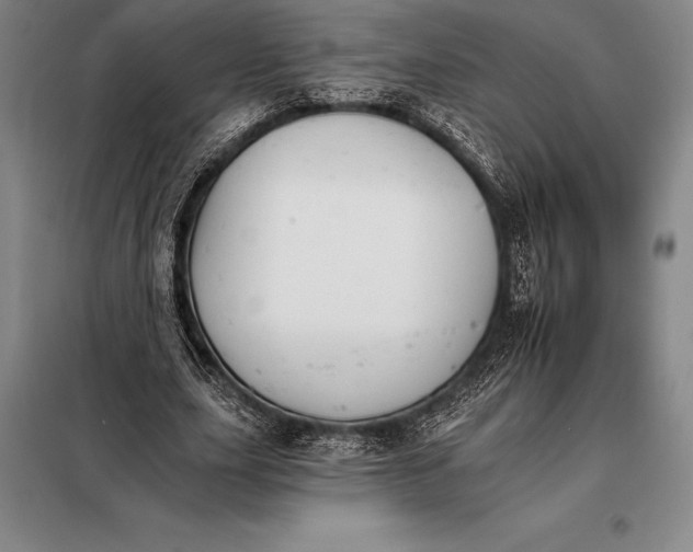 X0000098140631200805011344