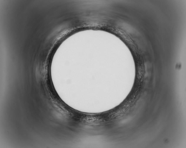 X0000098140632200805011344