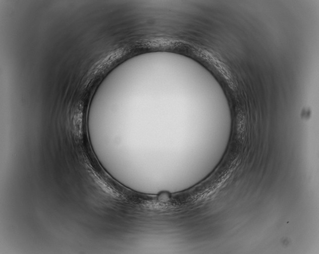 X0000098140633200805011344