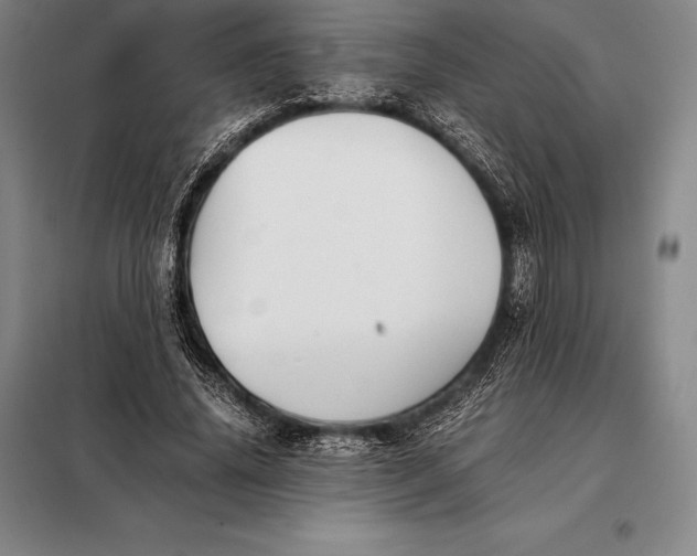 X0000098140636200805011344