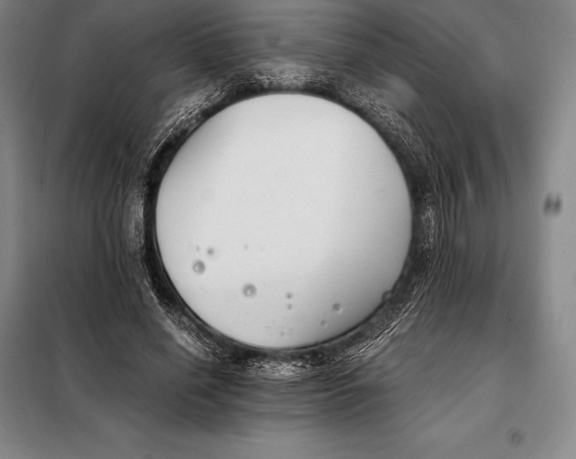 X0000098140638200805011344