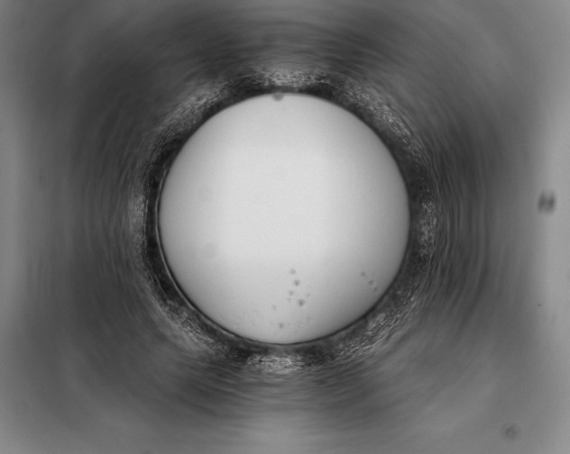 X0000098140639200805011344
