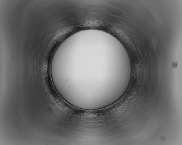 X0000098140640200805011344