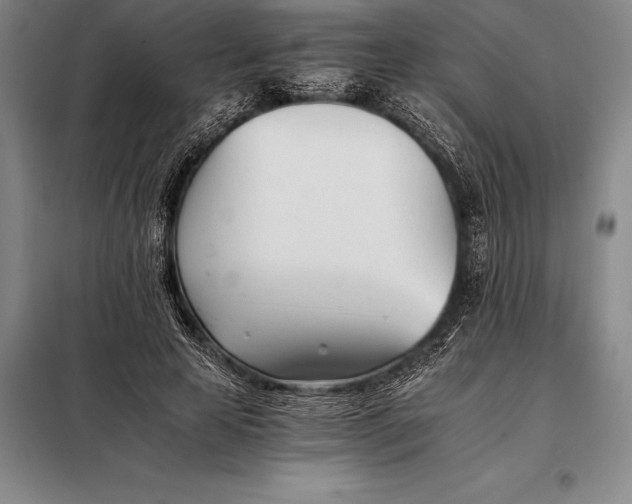 X0000098140641200805011344