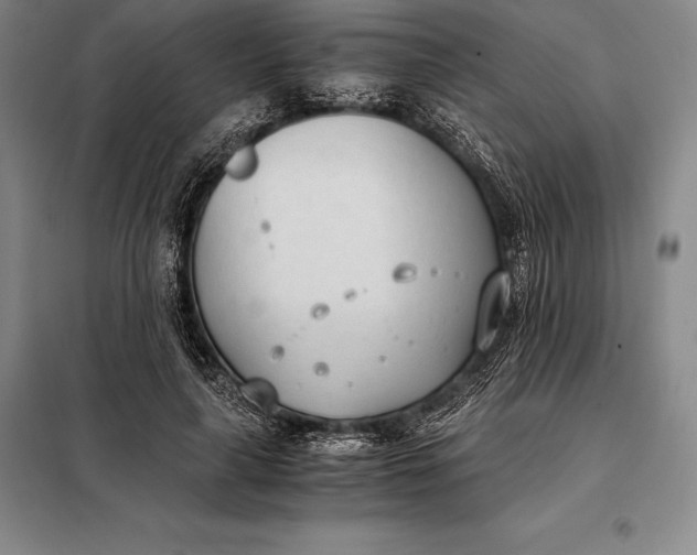 X0000098140643200805011344