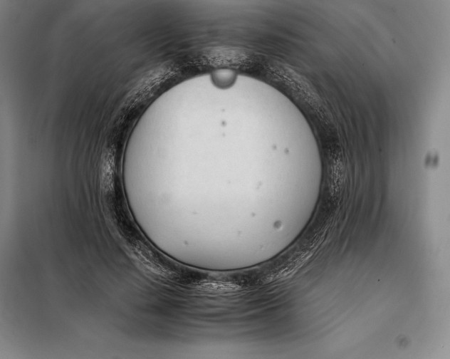 X0000098140644200805011344