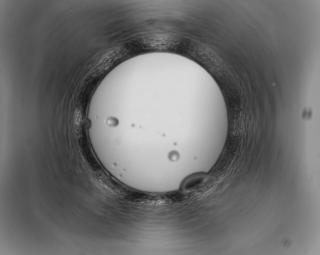 X0000098140646200805011344