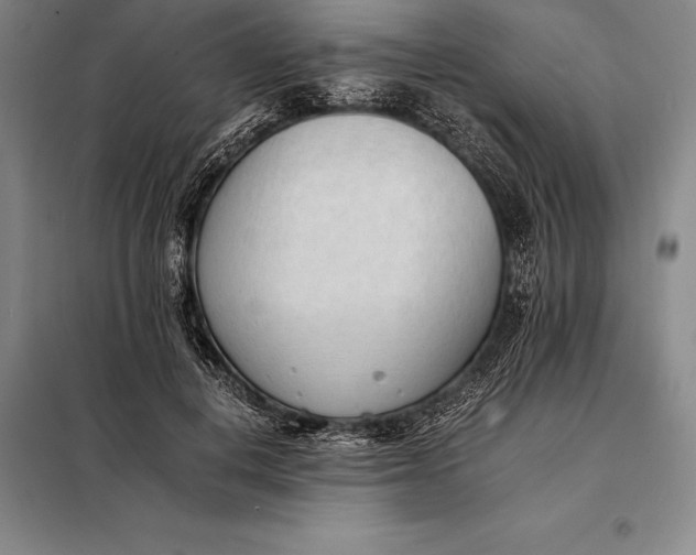 X0000098140648200805011345