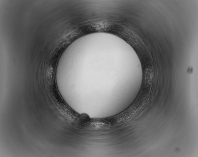 X0000098140650200805011345