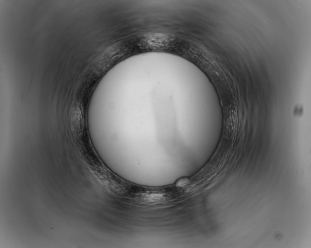 X0000098140651200805011345