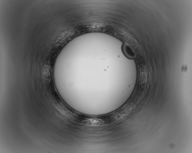X0000098140654200805011345