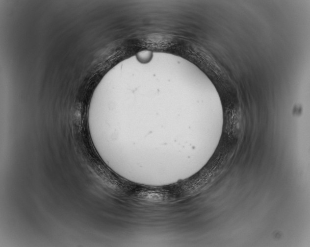 X0000098140655200805011345