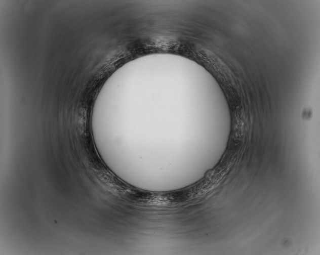 X0000098140656200805011345
