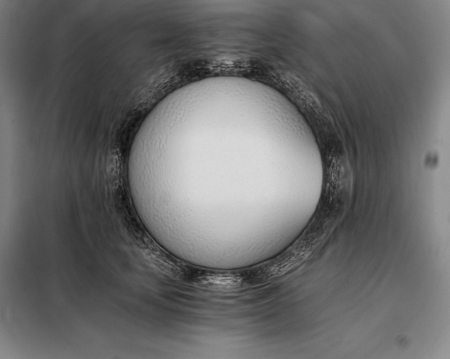 X0000098140659200805011345