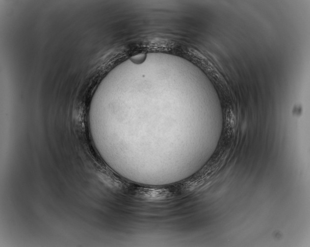 X0000098140663200805011345