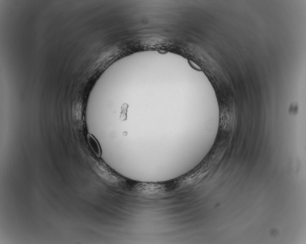 X0000098140670200805011345