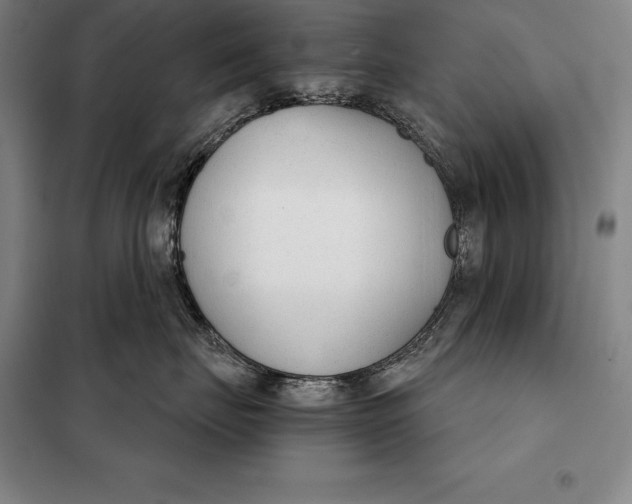 X0000098140671200805011345