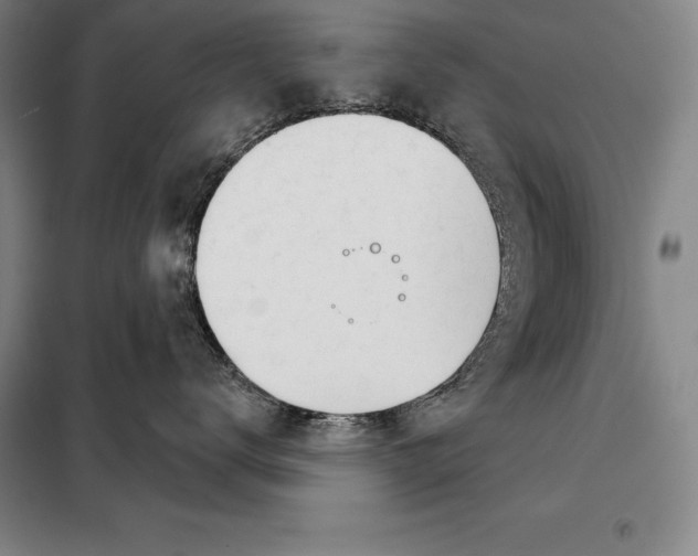 X0000098140672200805011345