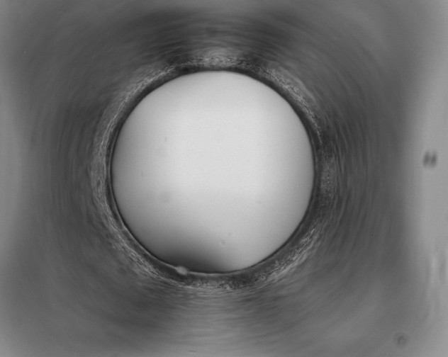 X0000098140673200805011344