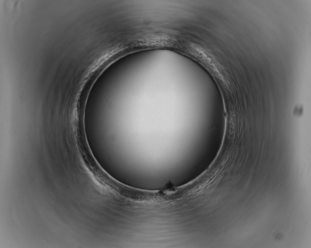 X0000098140674200805011344