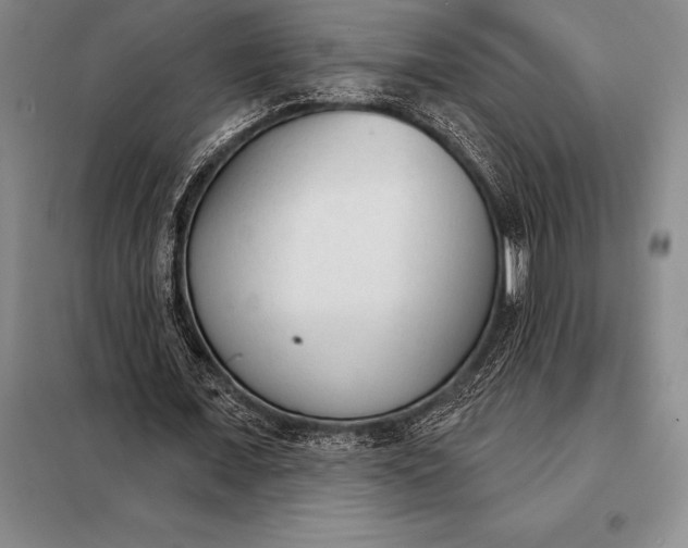 X0000098140675200805011344