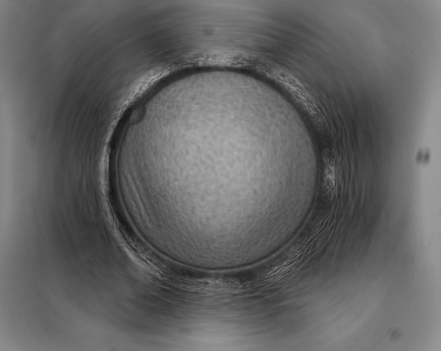 X0000098140678200805011344