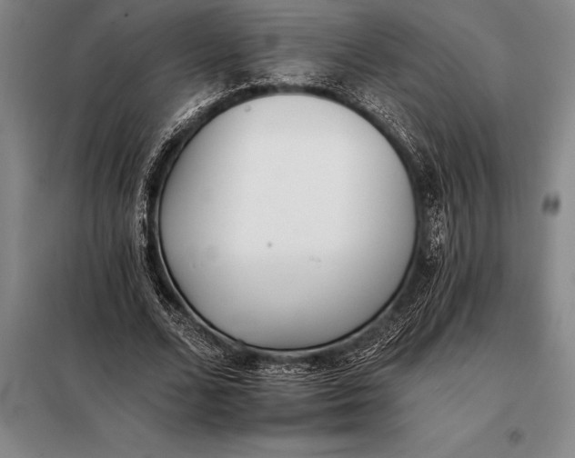 X0000098140680200805011344