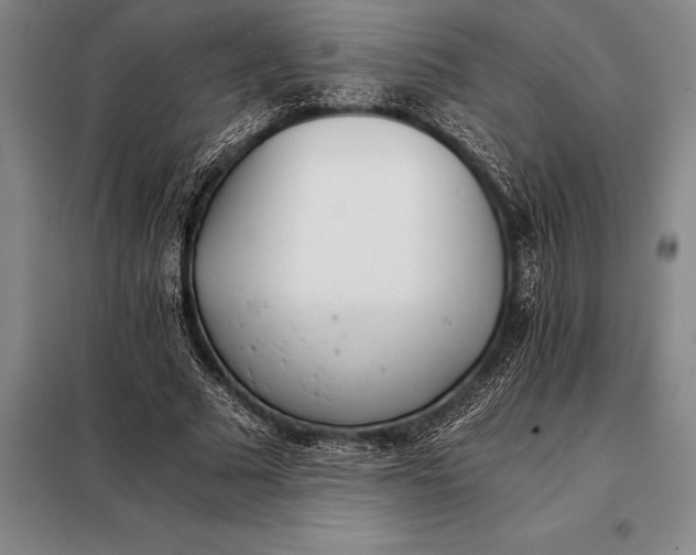 X0000098140681200805011344