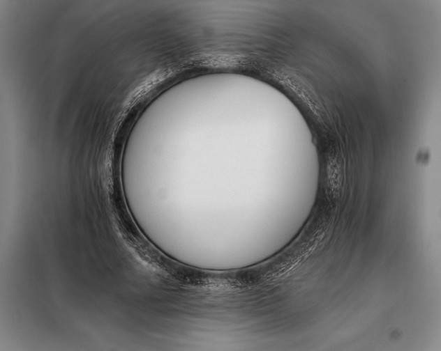 X0000098140682200805011344